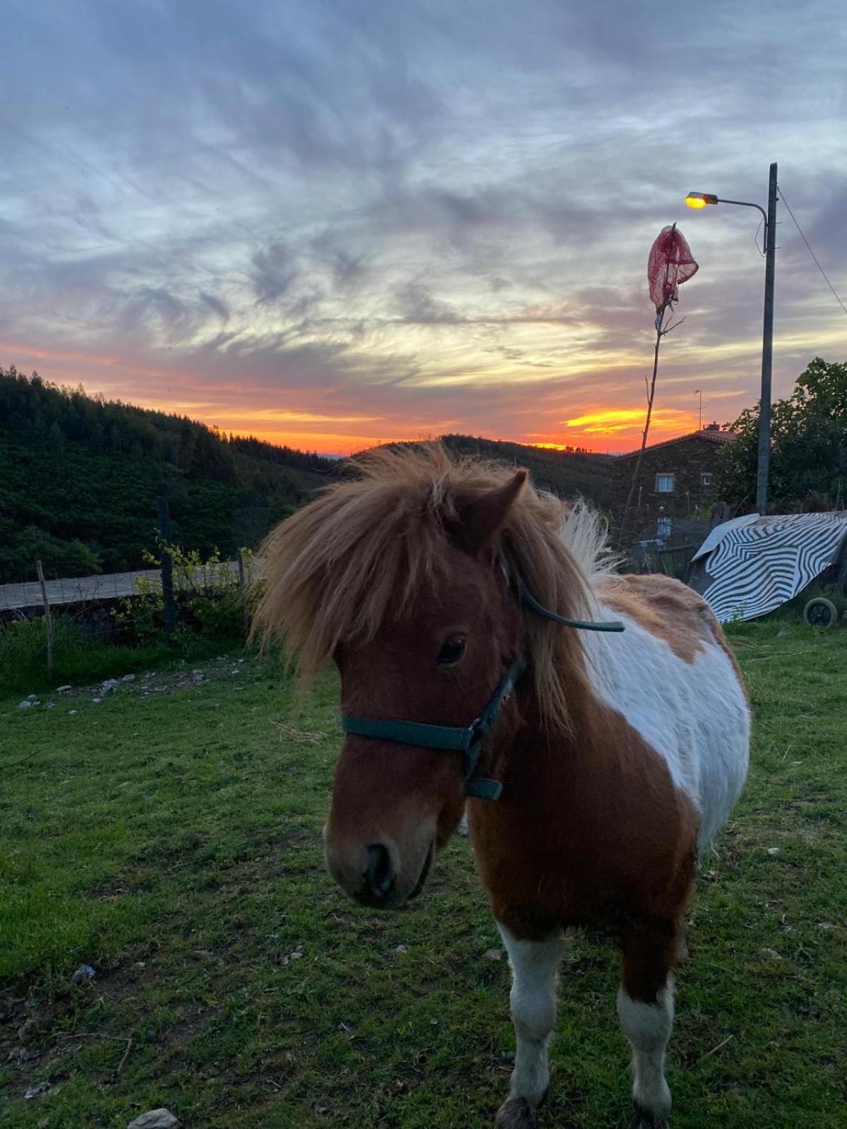 Casinha Por Do Sol Villa Aldeia das Dez Exterior foto
